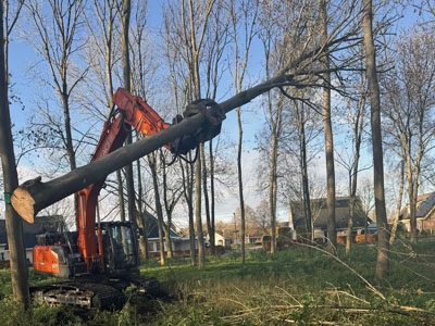 Bomen omzagen foto