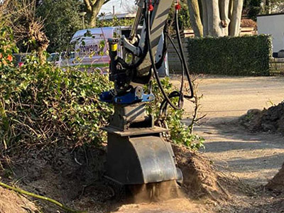 Bomen omzagen foto