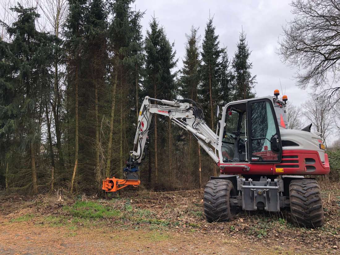 Onnauwkeurig Uitvoerbaar Middel Bomen om laten zagen / kappen of rooien regio Emmen, Drenthe?