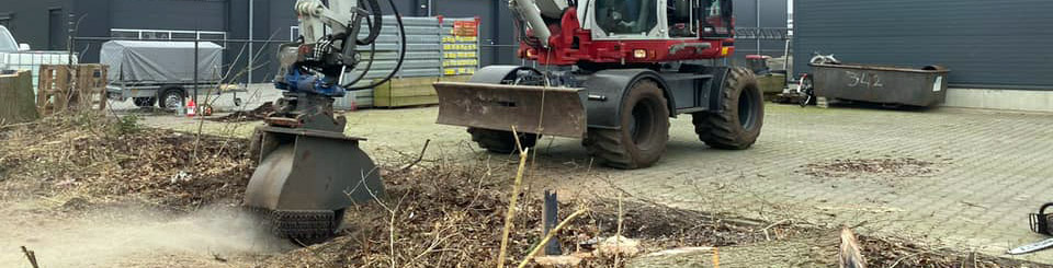 stronkenfrees professioneel beschiktbaar voor regio Emmen Drenthe